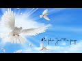 Tuta Tuta Ek Parinda Lyrics Song Allah Ke Bande Kailash Khair V S Cover By Kishor Lyrics Audio