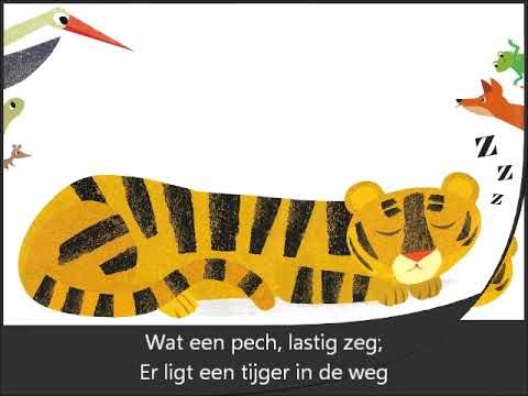 Ssst! De tijger slaapt.