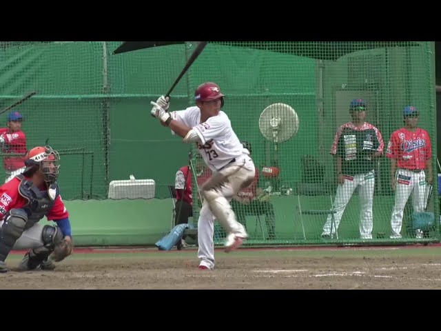 [農場] 擊球姿勢真棒！東北樂天金鷲小森航大郎6支打數轟出6支安打！ 2025年8月22日東北樂天金鷲vs. Oisix新潟天鵝之皇隊