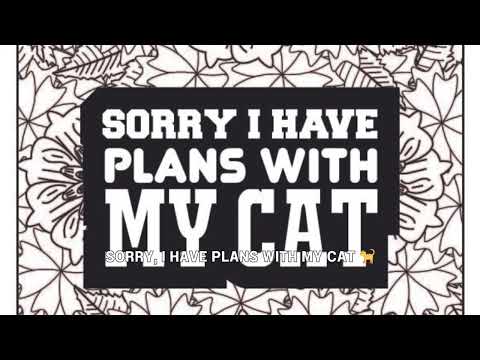 Purrrfect Cat Quotes Coloring Book 😻 You had me at meow! 😻