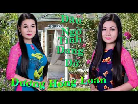 Đâu ngờ tình dang dở - Dương Hồng Loan