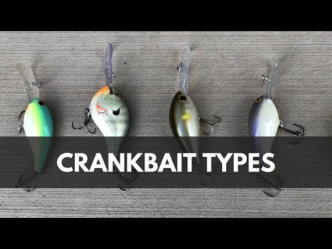 Crankbait Guide - Styles & Types of Lures To Catch Bass