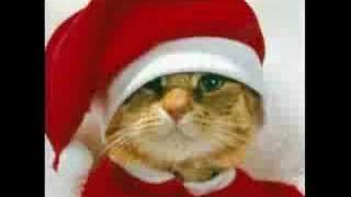 Funny Christmas Video