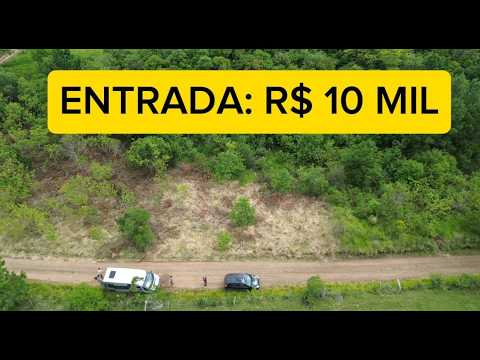 Vídeo