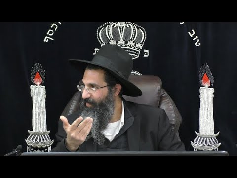 לא לחכמים לחם וגם לא לנבונים עושר 💵 הרב שי עובד | ראשון - פרשת תרומה - תשפג