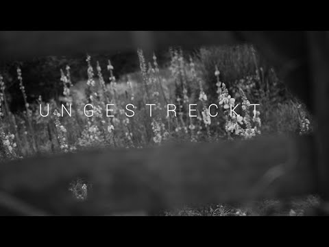 FAB - Ungestreckt (prod. by Bunkergeflunker)