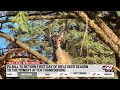 Changes Proposed To Pennsylvania S Deer Hunting Season