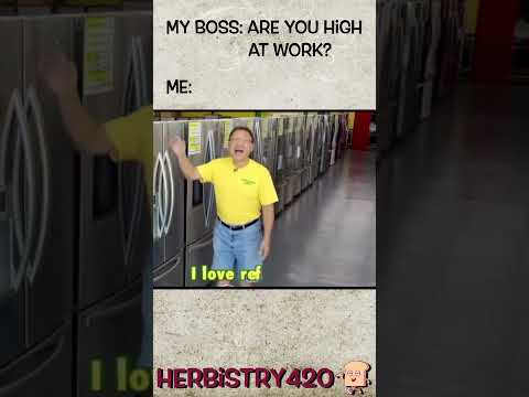 Are You High Meme – Stoned At Work