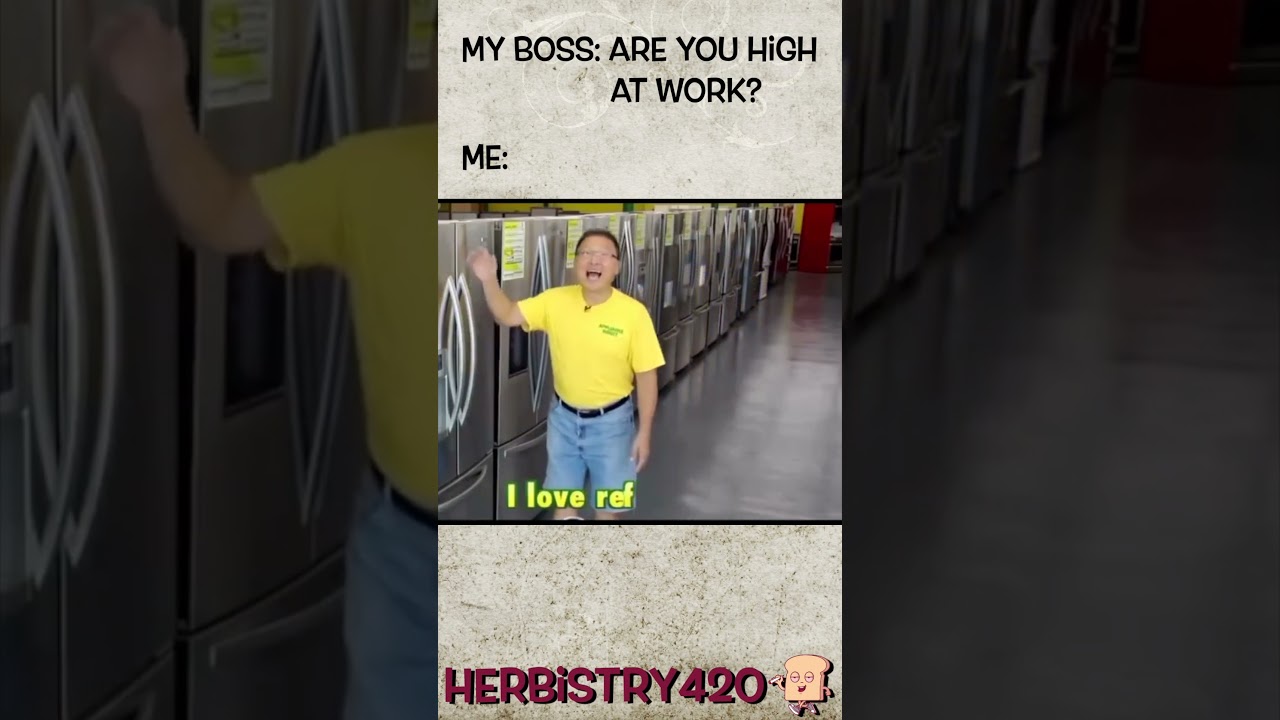 Are You High Meme – Stoned At Work