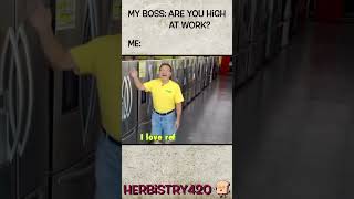 Are You High Meme – Stoned At Work