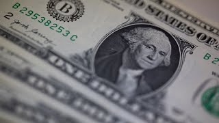 Yale’s Roach Warns of a Coming Crash in the U.S. Dollar