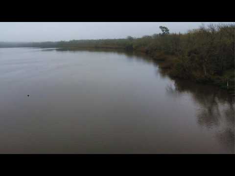 Monitoreo mensual de playas permite controlar la calidad ambiental en el río Santa Lucía