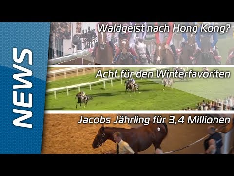 Sport Welt TV News - 10.10.2018