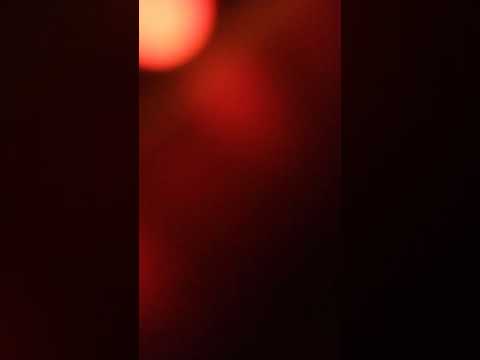 Johnny dinero volume 6