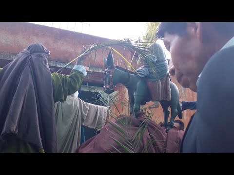 Jesus de las palmas templo de San Antonio aguas calientes domingo de ramos 2025