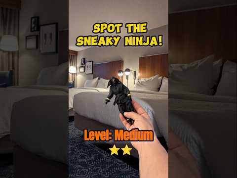 Quiet Stay #SneakyNinja #HiddenGame #VisualPuzzle #Video #Gaming #Camouflage #Challenge #Fun #fyp