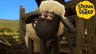 Shaun the Sheep 🐑 Farm Adventures! - Cartoons for Kids 🐑 Full Episodes Compilation [1 hour]
