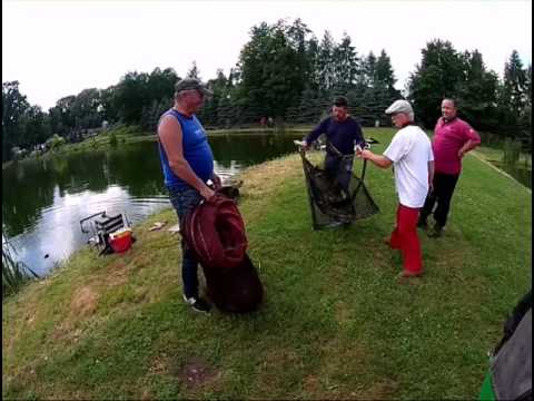 rudziniec 03 07 2016