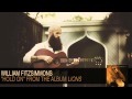 William Fitzsimmons - Hold On [Audio]