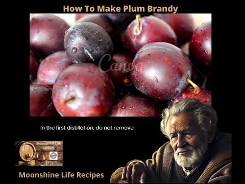How to make plum brandy