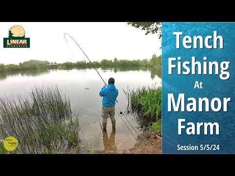 Tench Fishing At Linear Fisheries - Manor Farm - Tactics & Approach - 5➜6/5/24 (Video 493)