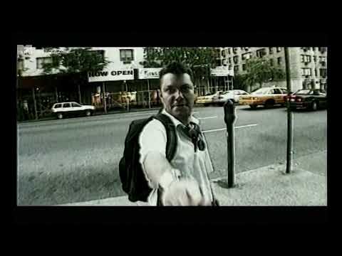 Cindy Cat - Lumea Vazută Din Zgârie-Nori