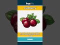 cranberry (noun) - definition and usage in English