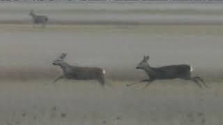 HÍREK A TERMÉSZETBŐL