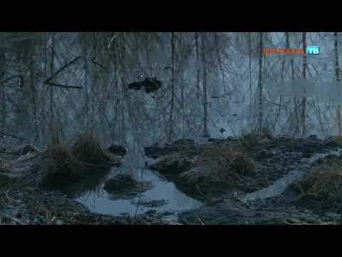 «13 ноября канализационный ручей ещё тёк, а сегодня чудо чудное – наконец, что-то сделано»