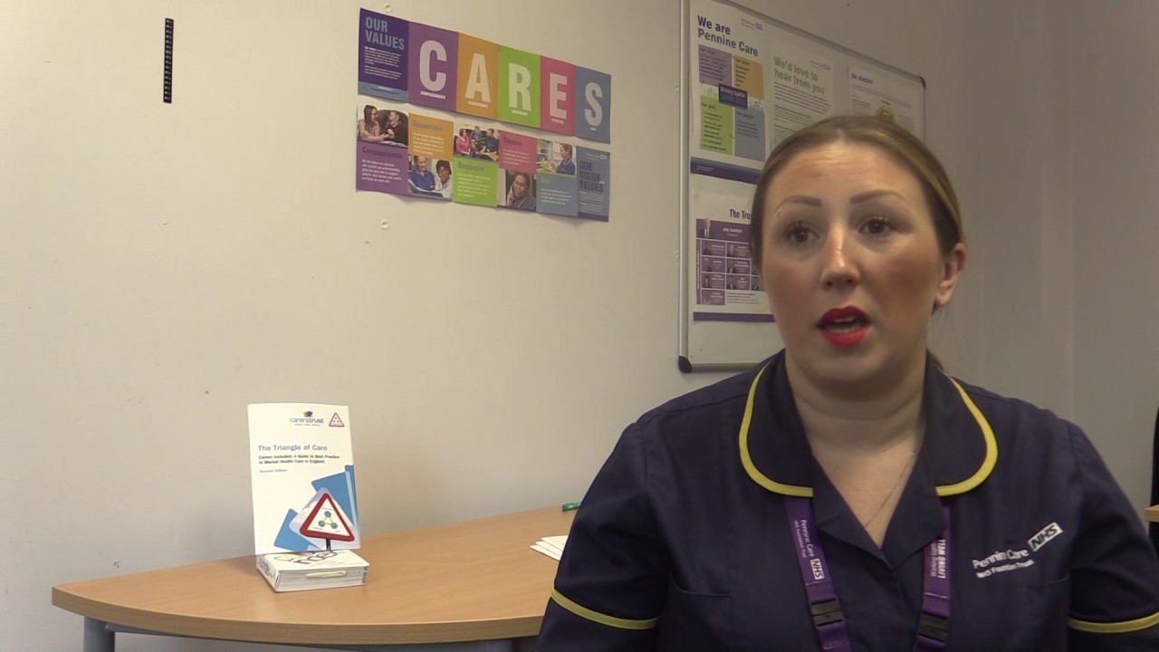 What is the Triangle of Care?