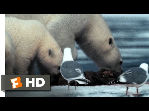 Arctic Tale (2007) Trailer + Clips