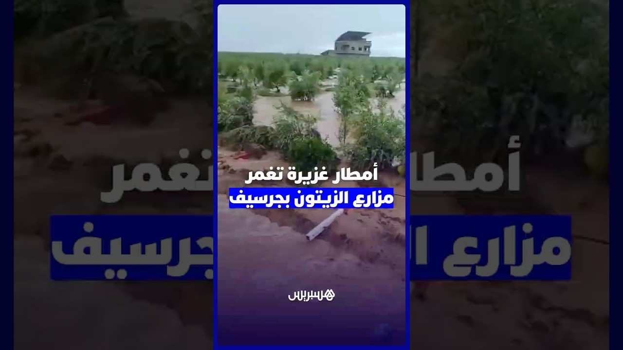 سيول الأمطار تجتاح ضيعات الزيتون بمغدر السلطان بإقليم جرسيف thumbnail
