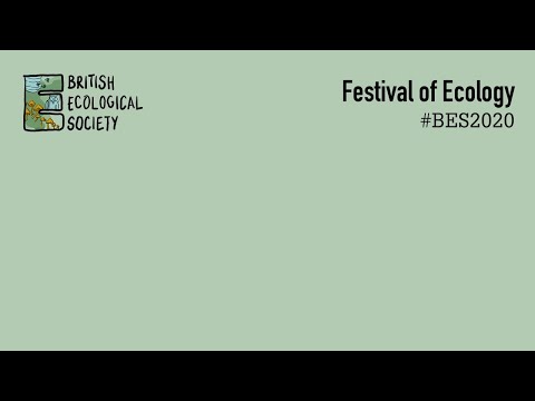 Master's thesis summary - 2-minute lightning talk