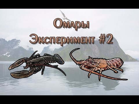 Русская Рыбалка 3.99 (Russian Fishing) Омары. Эксперимент #2