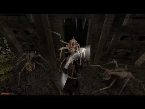 Lets Play Gothic 2 dNdR # 046 - Das Haus der Priester