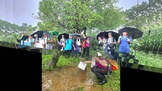 20251024樹林火車站-樹林山-三角埔頂山-三福山-武器公園-迴龍捷運站