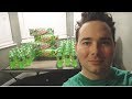 I Found All 50 Diet Mountain Dewnited State Bottles