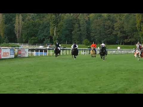 Koně v akci 2017 - Pardubice - Dostih poníků