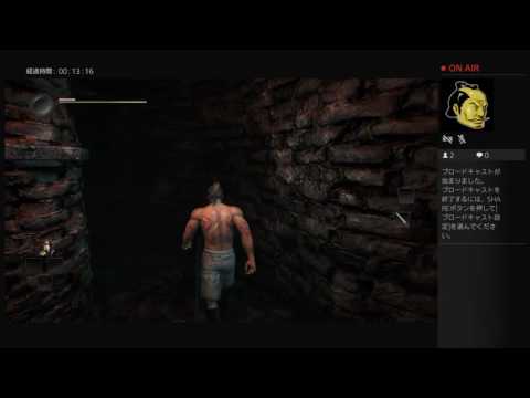 osugi-sugichanがPS4からブロードキャスト