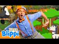Blippi Explores Jungle Animals Animals For Kids Animal Cartoons Learn About Animals