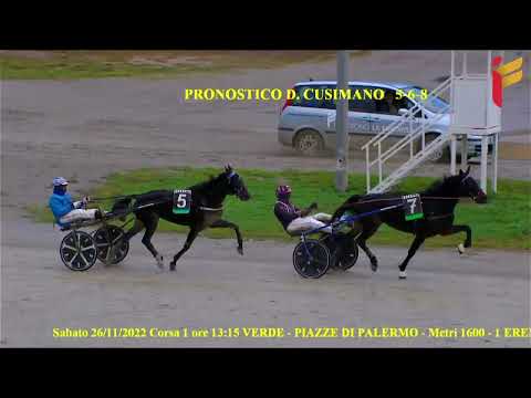 I corsa del 26 novembre 2022 - 2 Anni - Metri 1600 - Gara centrale