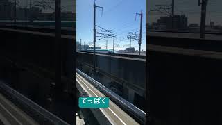 はやぶさ#鉄道 #北海道新幹線 #train #電車 #車内放送 #電車 #新幹線 #e5系 #てっぱく #鉄道博物館