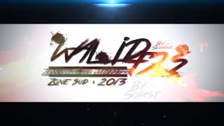Walid F2S - Zone Sud: 2013