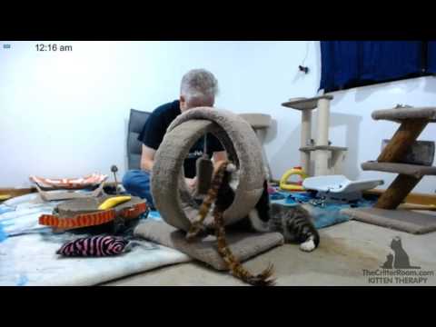 Addams Family - Evening 10-18