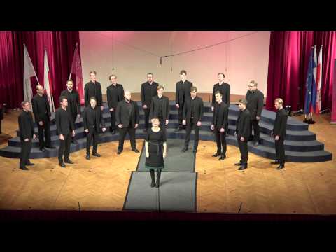 13. International Choral Competition Gallus, Svanholm Singers - Kulldansen (S.S. Eberhard)
