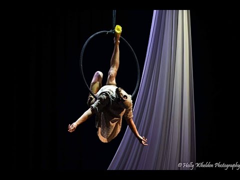 FPFC 2017 Lyra Professional Division 3rd Place Winner - Robert Drennen