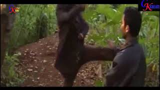 Download lagu YANG PERKASA/ FILM BARRY PRIMA/FILM ACTION / FILM LAGA mp3 Download lagu YANG PERKASA/ FILM BARRY PRIMA/FILM ACTION / FILM LAGA mp3