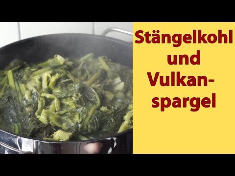 , title : 'D-020 Stängelkohl und Vulkanspargel'