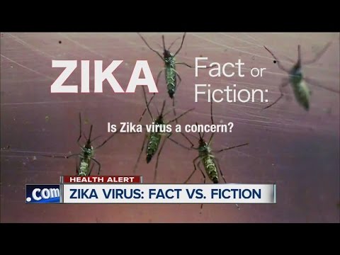 Zika Virus: Fact or Fiction