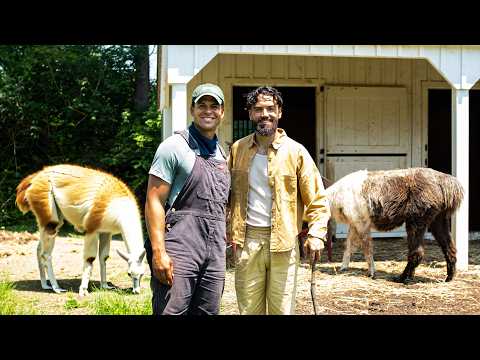 This Man Quit Google TECH JOB to Become a Farmer